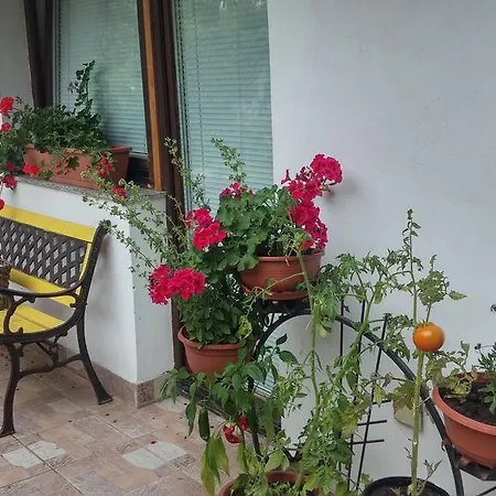 Casa de hóspedes Darja 3*