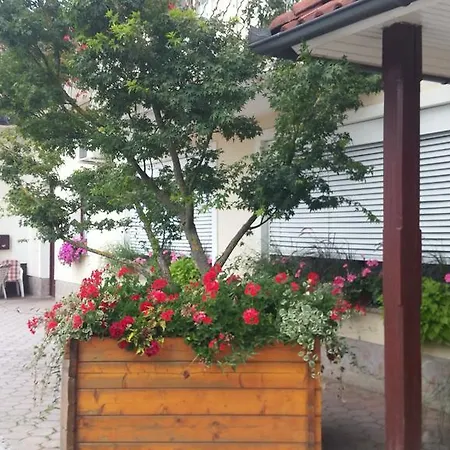 Darja Hiša za goste Dob