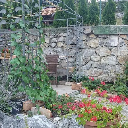 Guest house Darja Dob