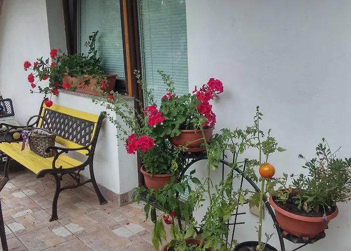 Hiša za goste Darja 3*