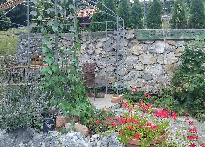 Hiša za goste Darja Dob